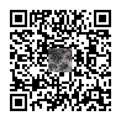 待添加